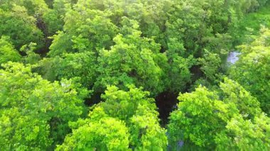 Beautiful morning view indonesia panorama landscape paddy fields with beauty color and sky natural light