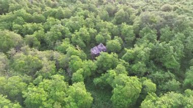 Beautiful morning view indonesia panorama landscape paddy fields with beauty color and sky natural light