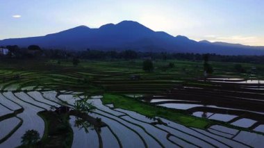 Beautiful morning view indonesia panorama landscape paddy fields with beauty color and sky natural light