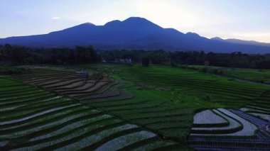 Beautiful morning view indonesia panorama landscape paddy fields with beauty color and sky natural light