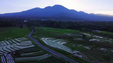 Beautiful morning view indonesia panorama landscape paddy fields with beauty color and sky natural light