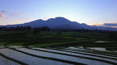 Beautiful morning view indonesia panorama landscape paddy fields with beauty color and sky natural light