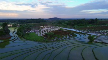 Beautiful morning view indonesia panorama landscape paddy fields with beauty color and sky natural light