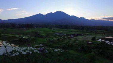 Beautiful morning view indonesia panorama landscape paddy fields with beauty color and sky natural light