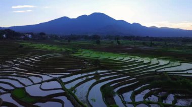 Beautiful morning view indonesia panorama landscape paddy fields with beauty color and sky natural light