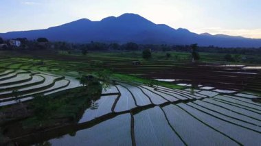 Beautiful morning view indonesia panorama landscape paddy fields with beauty color and sky natural light