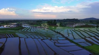 Beautiful morning view indonesia panorama landscape paddy fields with beauty color and sky natural light