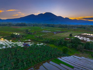 Beautiful morning view indonesia panorama landscape paddy fields with beauty color and sky natural light