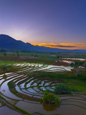 Beautiful morning view indonesia panorama landscape paddy fields with beauty color and sky natural light