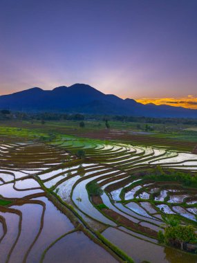 Beautiful morning view indonesia panorama landscape paddy fields with beauty color and sky natural light