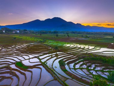 Beautiful morning view indonesia panorama landscape paddy fields with beauty color and sky natural light