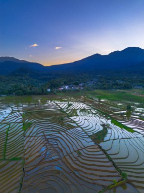 Beautiful morning view indonesia panorama landscape paddy fields with beauty color and sky natural light