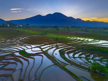 Beautiful morning view indonesia panorama landscape paddy fields with beauty color and sky natural light