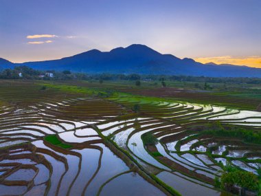 Beautiful morning view indonesia panorama landscape paddy fields with beauty color and sky natural light
