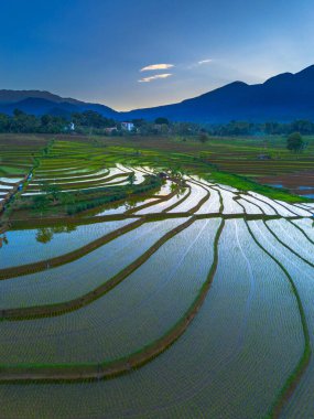Beautiful morning view indonesia panorama landscape paddy fields with beauty color and sky natural light