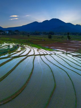 Beautiful morning view indonesia panorama landscape paddy fields with beauty color and sky natural light