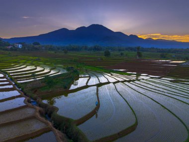 Beautiful morning view indonesia panorama landscape paddy fields with beauty color and sky natural light