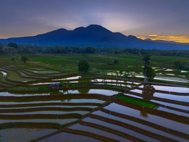 Beautiful morning view indonesia panorama landscape paddy fields with beauty color and sky natural light