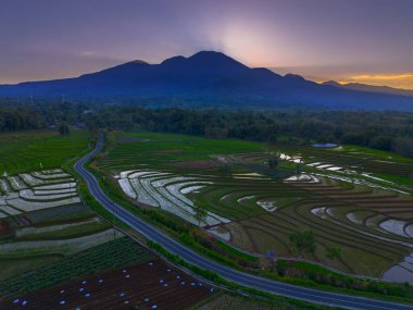 Beautiful morning view indonesia panorama landscape paddy fields with beauty color and sky natural light