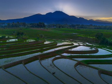 Beautiful morning view indonesia panorama landscape paddy fields with beauty color and sky natural light