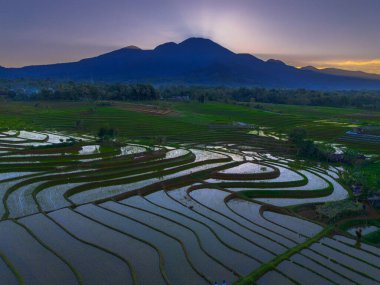 Beautiful morning view indonesia panorama landscape paddy fields with beauty color and sky natural light