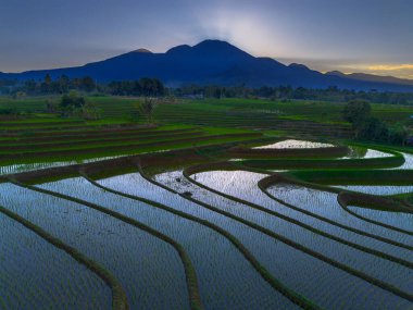 Beautiful morning view indonesia panorama landscape paddy fields with beauty color and sky natural light