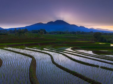 Beautiful morning view indonesia panorama landscape paddy fields with beauty color and sky natural light