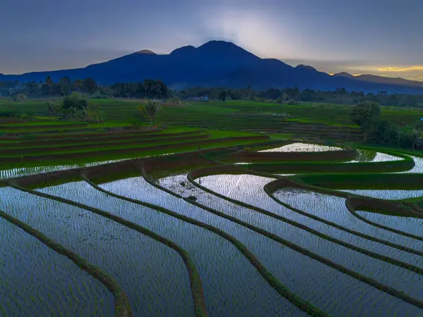 Beautiful morning view indonesia panorama landscape paddy fields with beauty color and sky natural light