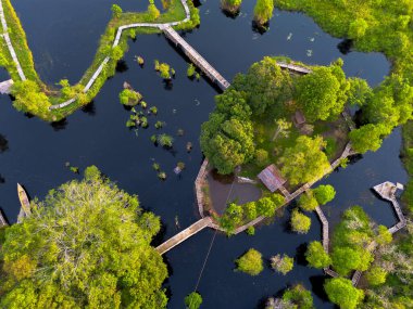 Endonezya 'nın güzelliği, gün batımında mangrov ormanları ve plajları.