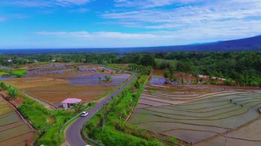 Güzel sabah manzarası Endonezya manzara çeltik tarlaları güzellik rengi ve gökyüzü doğal
