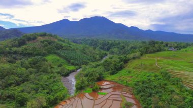 Güzel sabah manzarası Endonezya manzara çeltik tarlaları güzellik rengi ve gökyüzü doğal