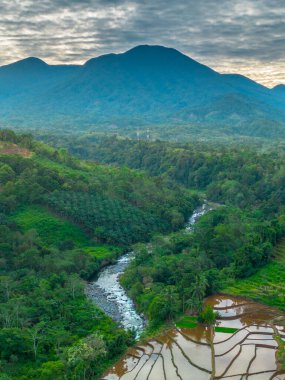 Endonezya 'nın yemyeşil pirinç tarlalarının görkemli dağ manzarası, doğal güzellikleri, huzurlu sabah titreşimleri, doğa, tarım ve kırsal yaşam temaları için mükemmel.