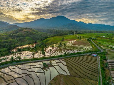 Endonezya 'nın yemyeşil pirinç tarlalarının görkemli dağ manzarası, doğal güzellikleri, huzurlu sabah titreşimleri, doğa, tarım ve kırsal yaşam temaları için mükemmel.