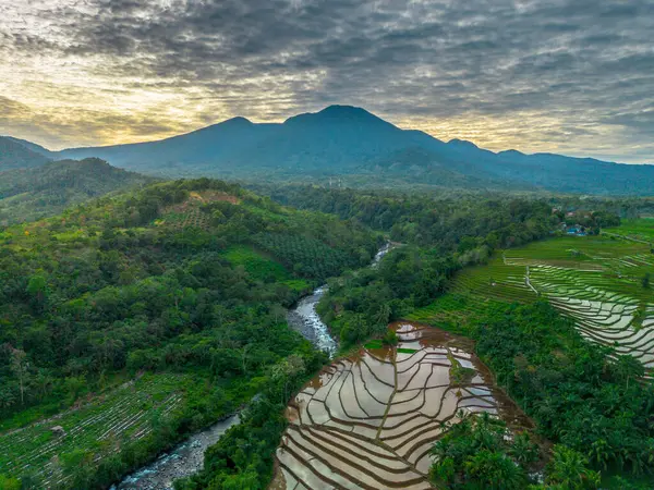 Endonezya 'nın yemyeşil pirinç tarlalarının görkemli dağ manzarası, doğal güzellikleri, huzurlu sabah titreşimleri, doğa, tarım ve kırsal yaşam temaları için mükemmel.