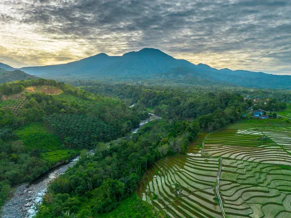 Endonezya 'nın yemyeşil pirinç tarlalarının görkemli dağ manzarası, doğal güzellikleri, huzurlu sabah titreşimleri, doğa, tarım ve kırsal yaşam temaları için mükemmel.