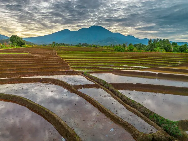 Endonezya 'nın yemyeşil pirinç tarlalarının görkemli dağ manzarası, doğal güzellikleri, huzurlu sabah titreşimleri, doğa, tarım ve kırsal yaşam temaları için mükemmel.