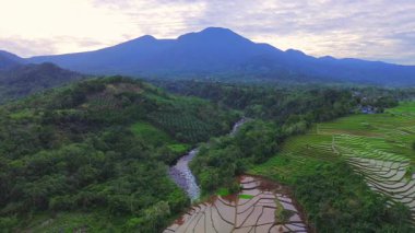 Beautiful morning view indonesia panorama landscape paddy fields with beauty color and sky natural light
