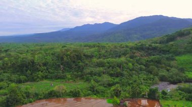 Beautiful morning view indonesia panorama landscape paddy fields with beauty color and sky natural light