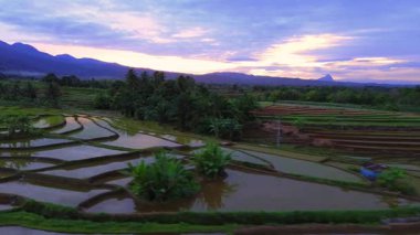 Beautiful morning view indonesia panorama landscape paddy fields with beauty color and sky natural light