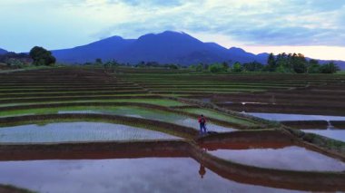 Beautiful morning view indonesia panorama landscape paddy fields with beauty color and sky natural light