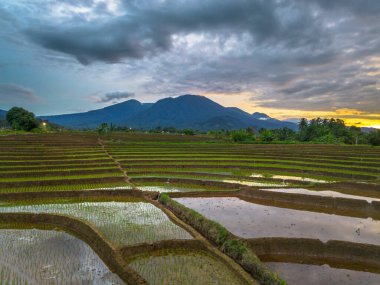 Endonezya 'nın güzelliği, gün batımında mangrov ormanları ve plajları.