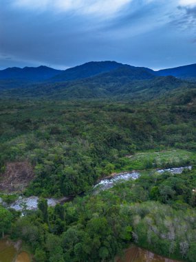 Endonezya 'nın güzelliği, gün batımında mangrov ormanları ve plajları.