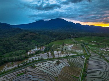 Endonezya 'nın güzelliği, gün batımında mangrov ormanları ve plajları.