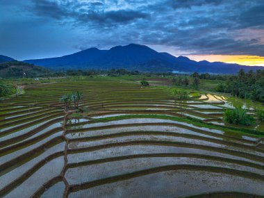 Endonezya 'nın güzelliği, gün batımında mangrov ormanları ve plajları.
