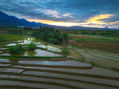 Endonezya 'nın güzelliği, gün batımında mangrov ormanları ve plajları.