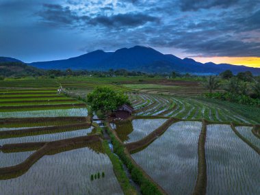 Endonezya 'nın güzelliği, gün batımında mangrov ormanları ve plajları.