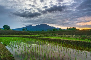 Endonezya 'nın güzelliği, gün batımında mangrov ormanları ve plajları.