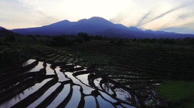 Beautiful morning view indonesia panorama landscape paddy fields with beauty color and sky natural light