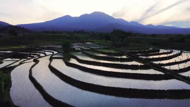 Beautiful morning view indonesia panorama landscape paddy fields with beauty color and sky natural light