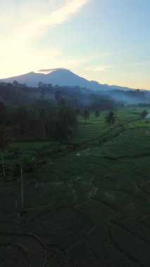 Beautiful morning view indonesia panorama landscape paddy fields with beauty color and sky natural light